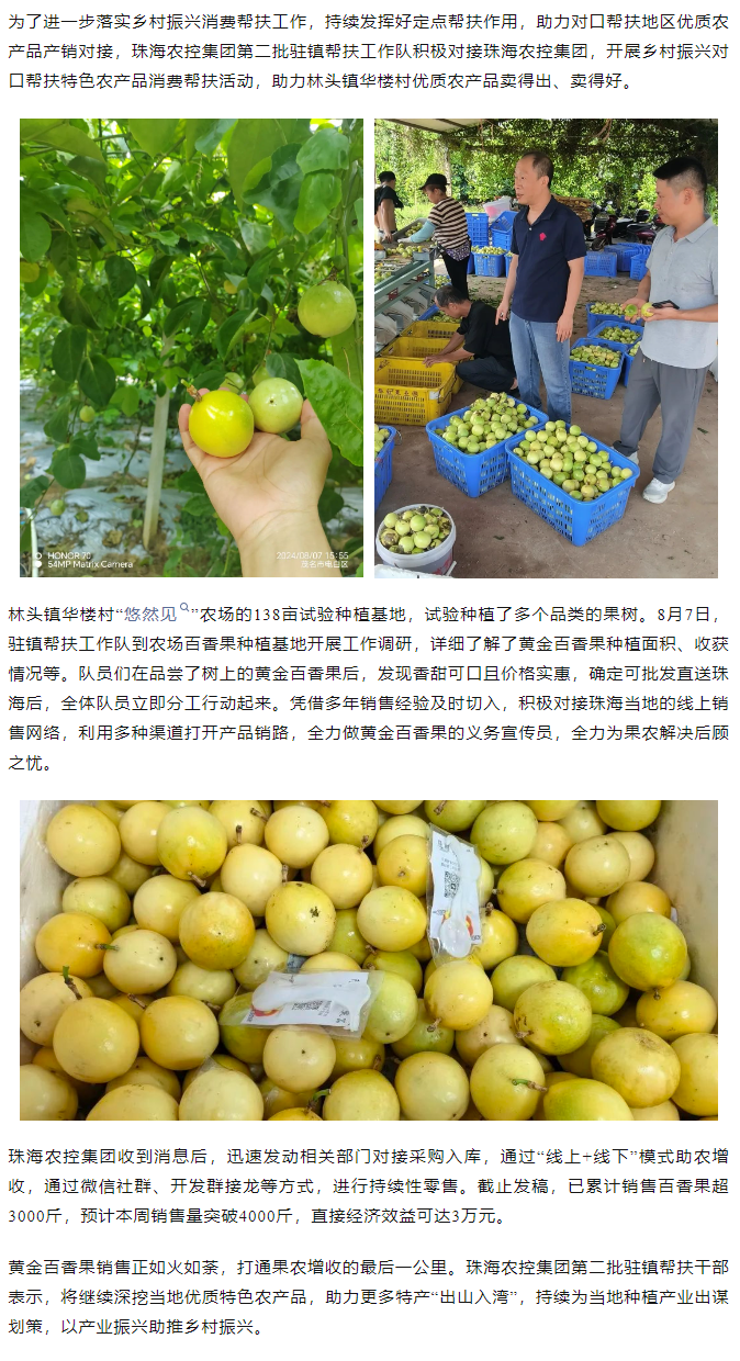 拼搏官网平台-拼搏（中国）一站式服务平台
集团助力产销对接 对口帮扶果香飘百里.png